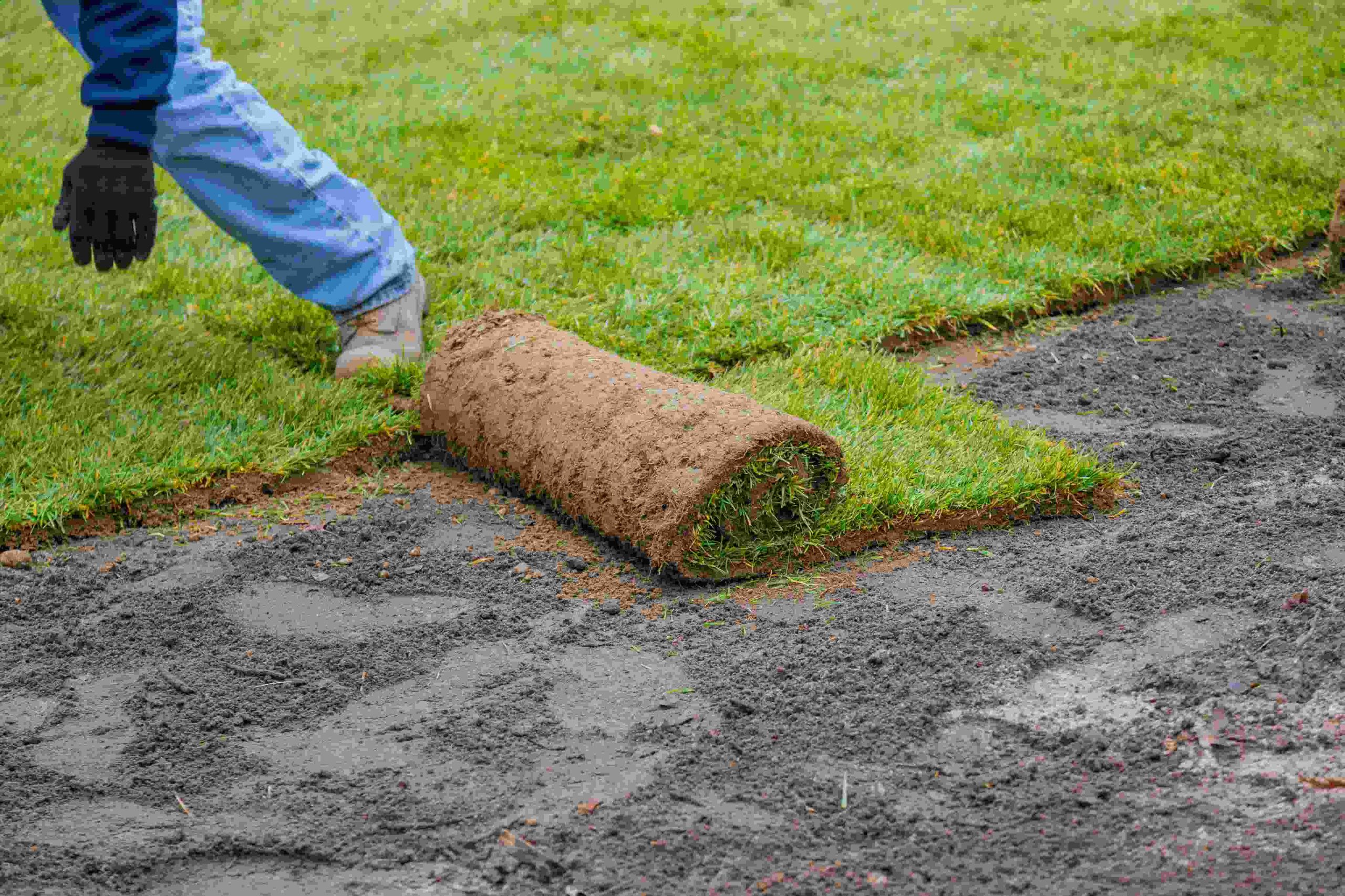 Sod & Lawn Installation